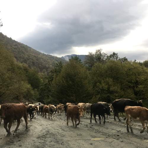 Фотография #13387828