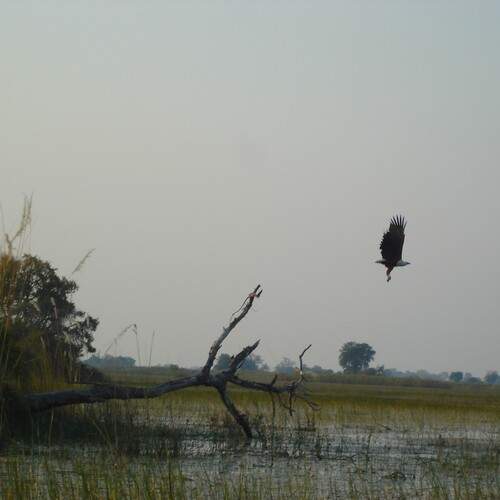 Photo #13387851
