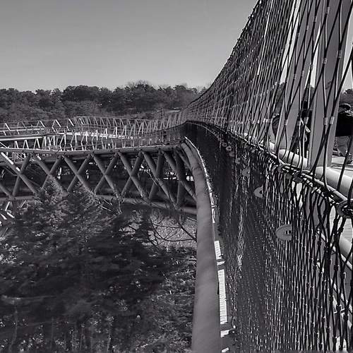 Bridge of Nature