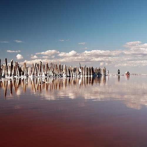 Photo #13388001