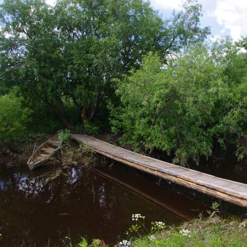 Photo #13388099