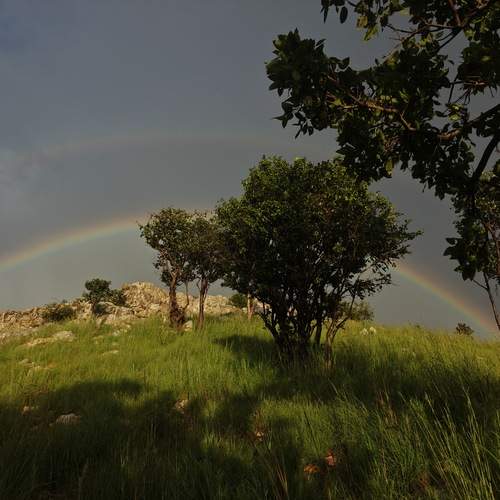 Photo #13388183