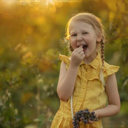 Фотография #13388192