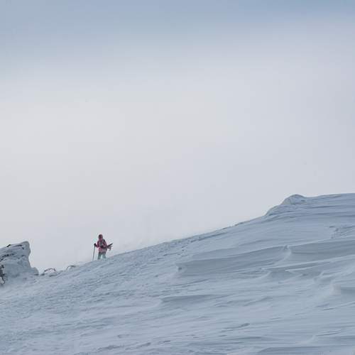 Photo #13388196