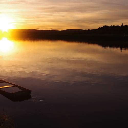 Photo #13388210