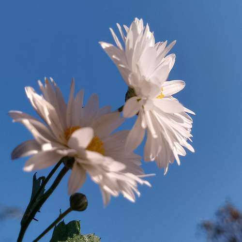 Photo #13388318