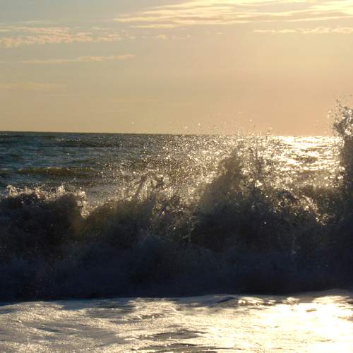 Photo #13388451