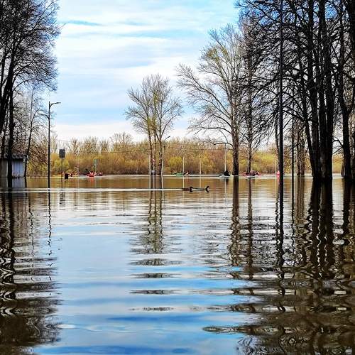 Река вышла из берегов