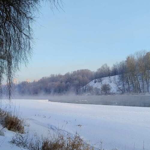 Photo #13388546