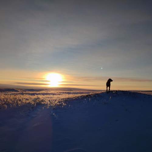 Photo #13388610