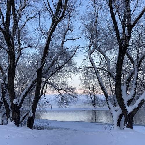 Photo #13388613