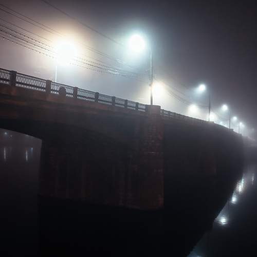 Photo #13388629