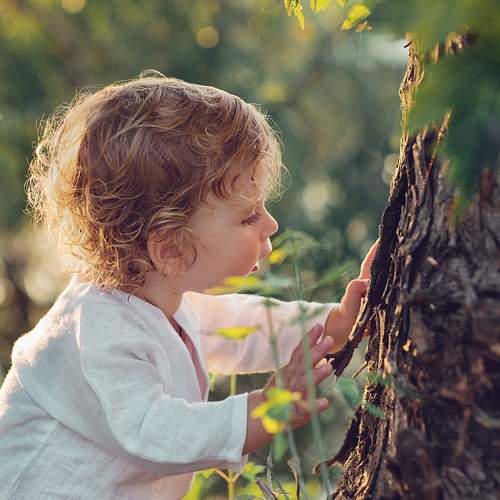 Фотография #13388695