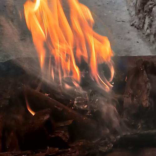 Photo #13388704