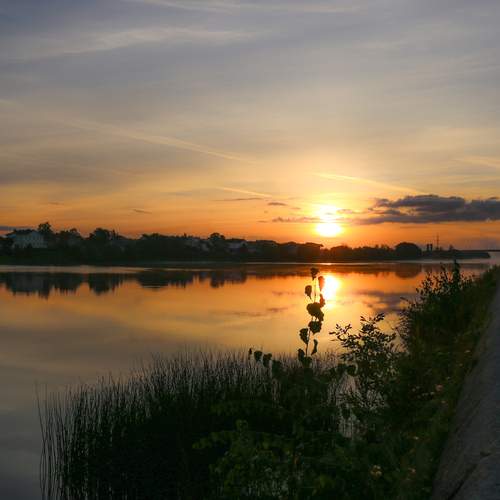 Photo #13388724
