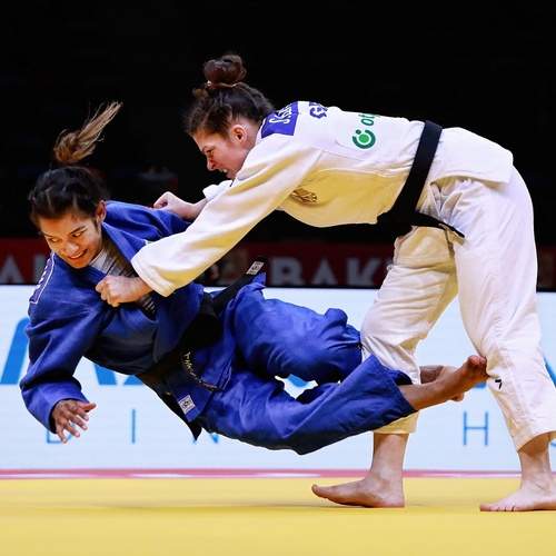 Photo #13388727