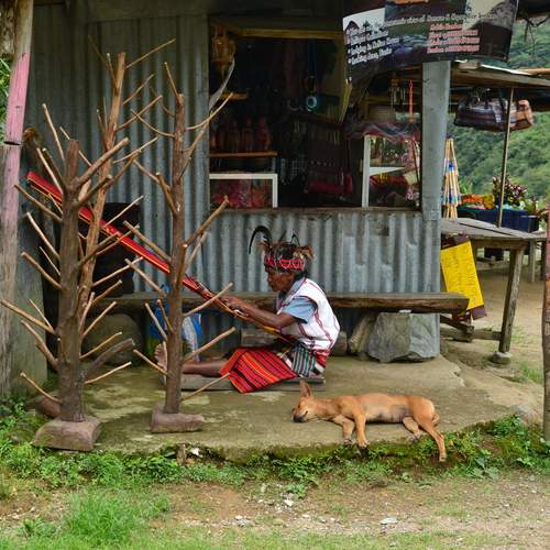 Photo #13388739