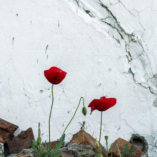 Persistence