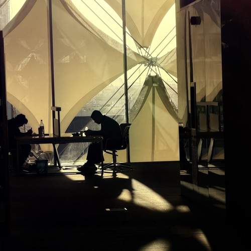 Photo #13388769