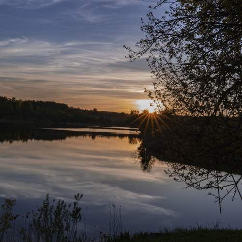 Photo #13388799