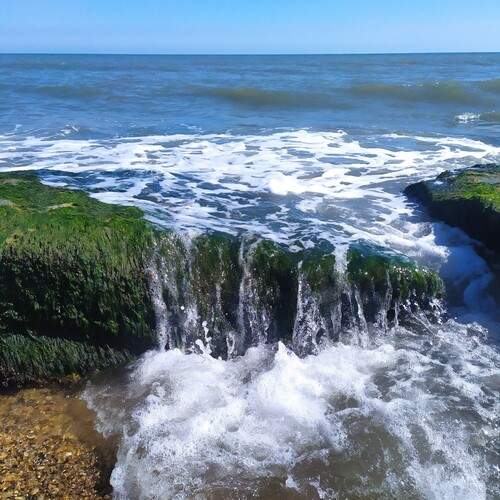Photo #13388833