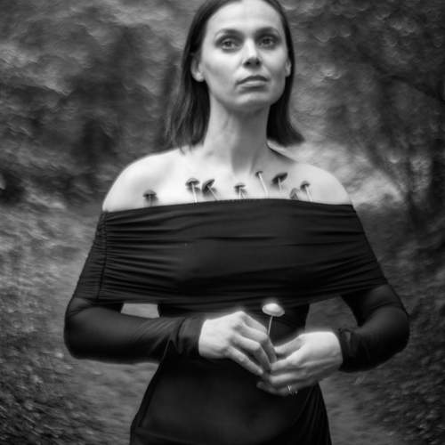Фотография #13389216