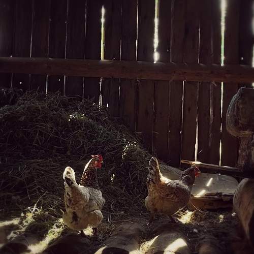 Photo #13389338