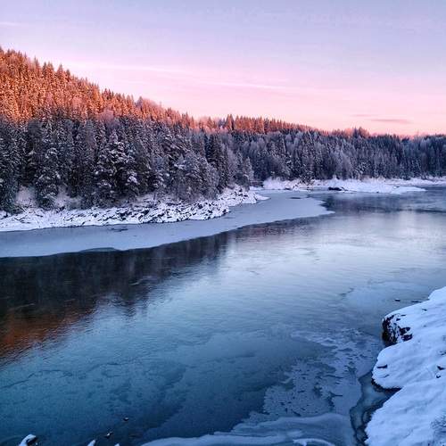 Photo #13389384