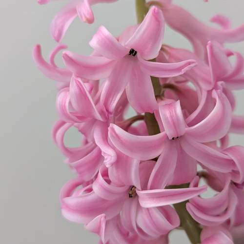Photo #13389416
