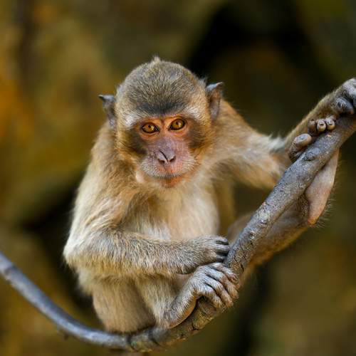 Фотография #13389462