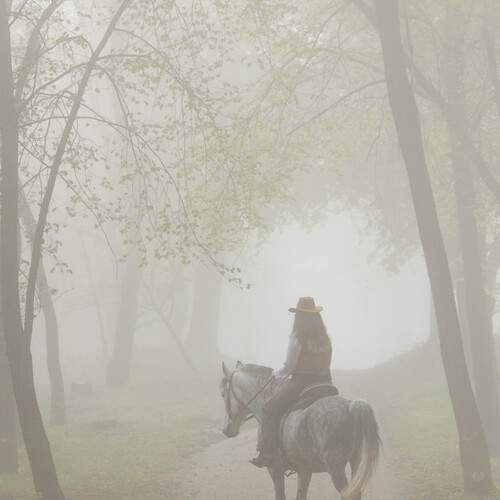 Photo #13389556
