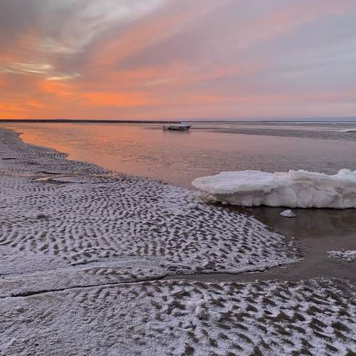 Photo #13389684