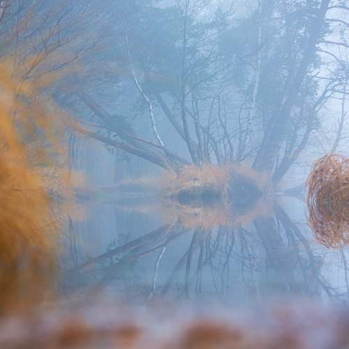 Фотография #13389715