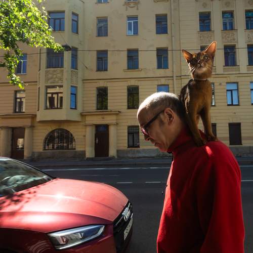 Фотография #13389721