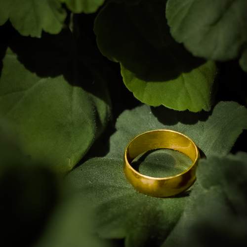 Photo #13389745