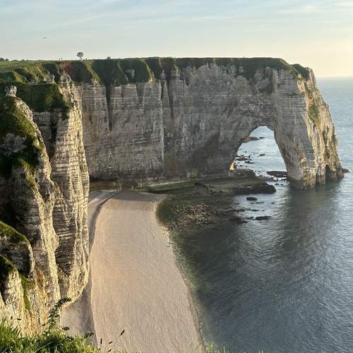 Photo #13389761