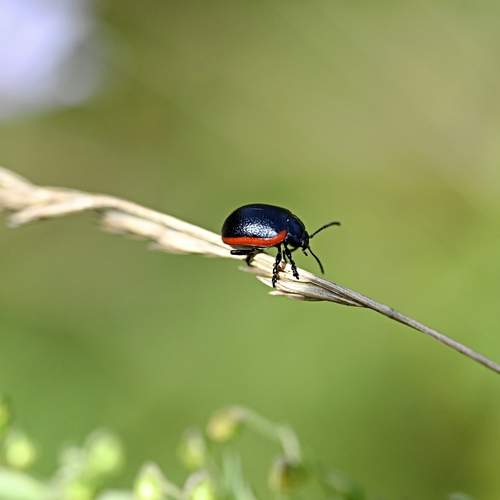 Photo #13389800