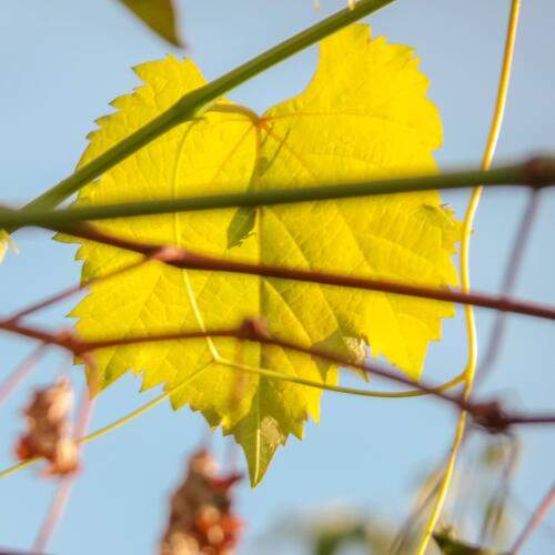 Photo #13389815