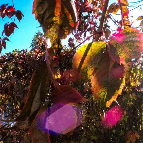 Photo #13389816