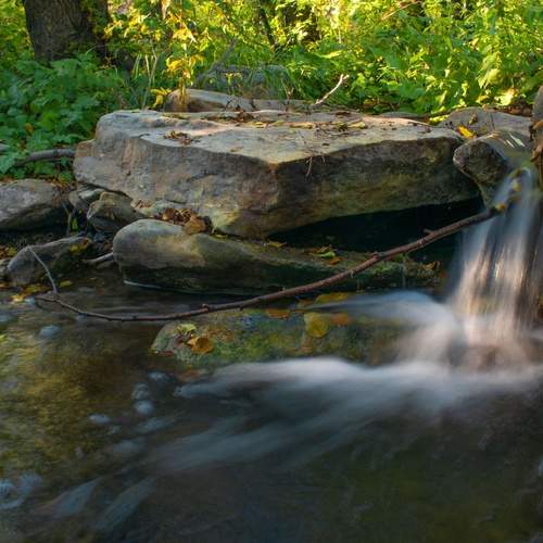 Photo #13389845