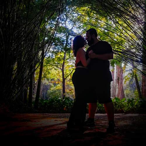 Photo #13389891
