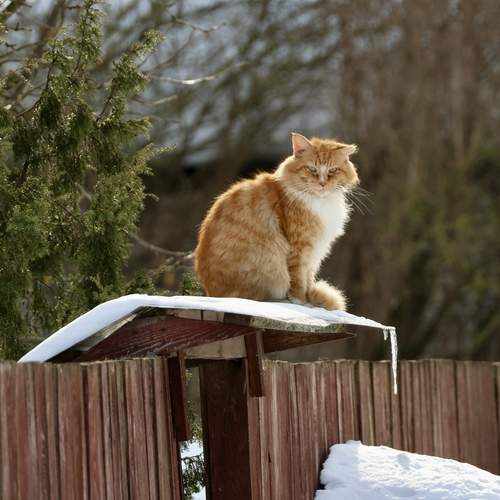 Photo #13389908