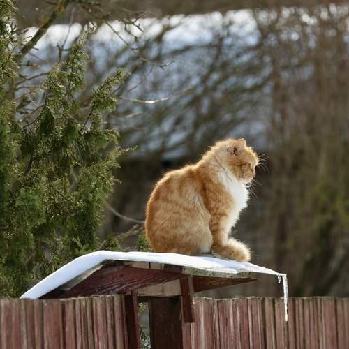Photo #13389910