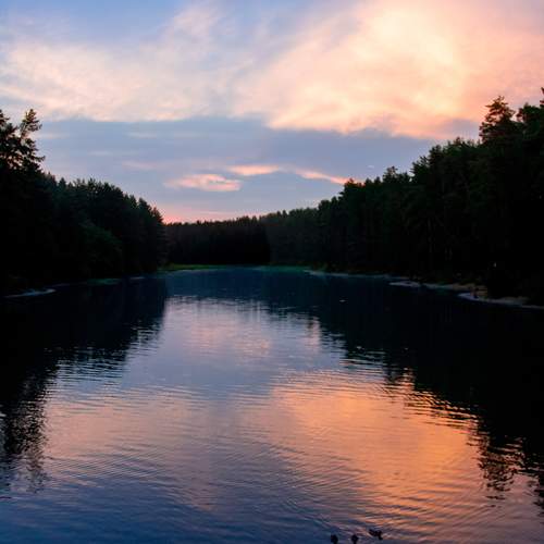 Photo #13389969