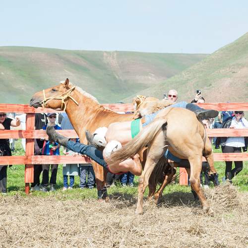 Photo #13390115