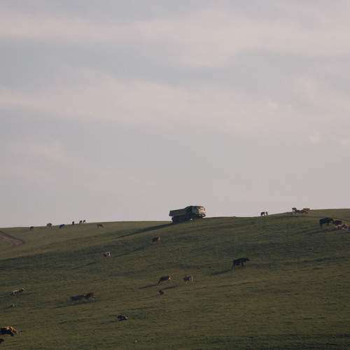 Photo #13390221