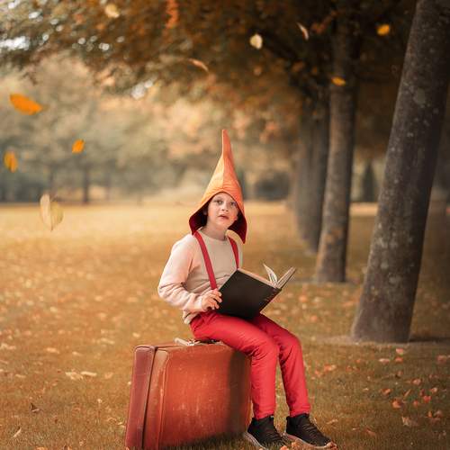 Autumn fairy land