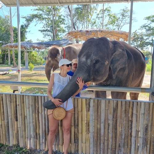 Photo #13390374