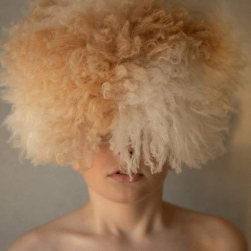Photo #13390450