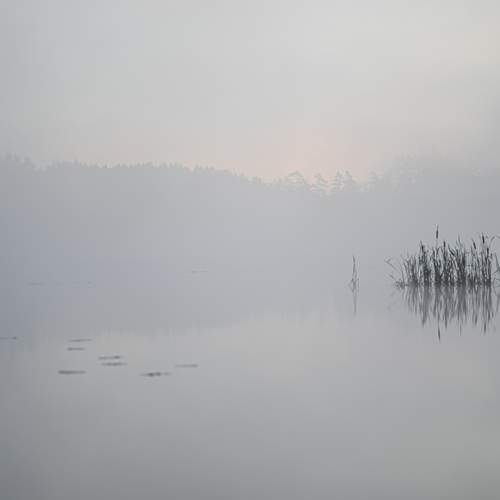 Photo #13390453